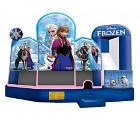 FROZEN 5 IN 1 COMBO - wet or dry
